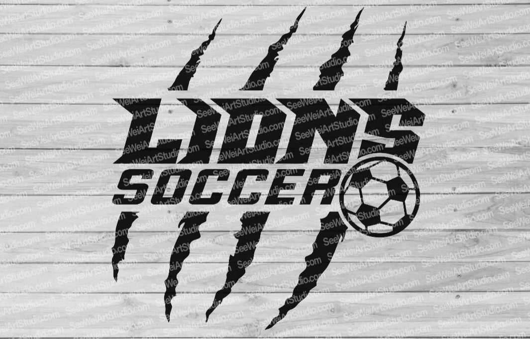LIONS SOCCER COLLAGE