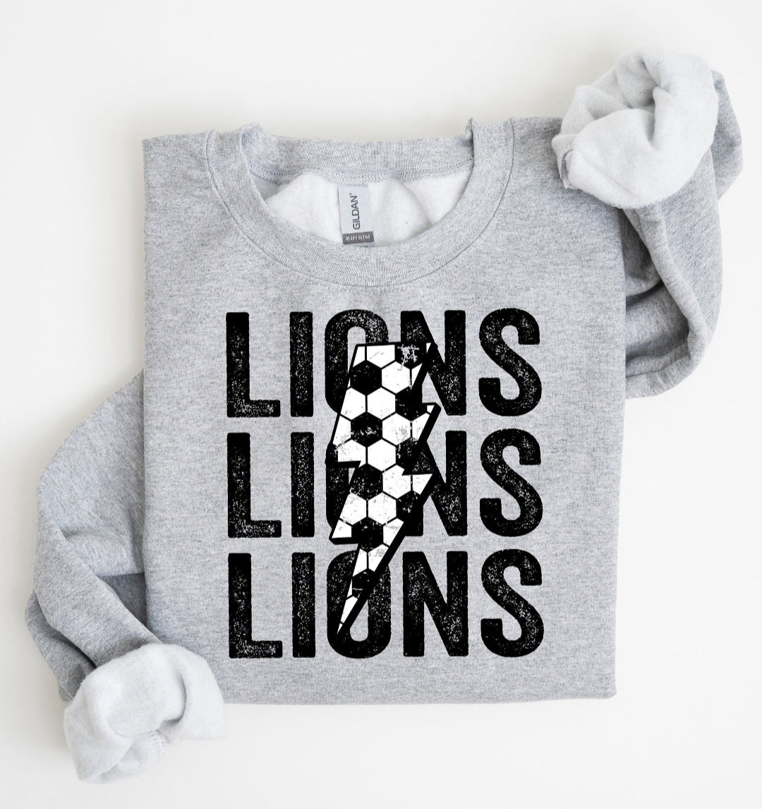 LIONS SOCCER COLLAGE