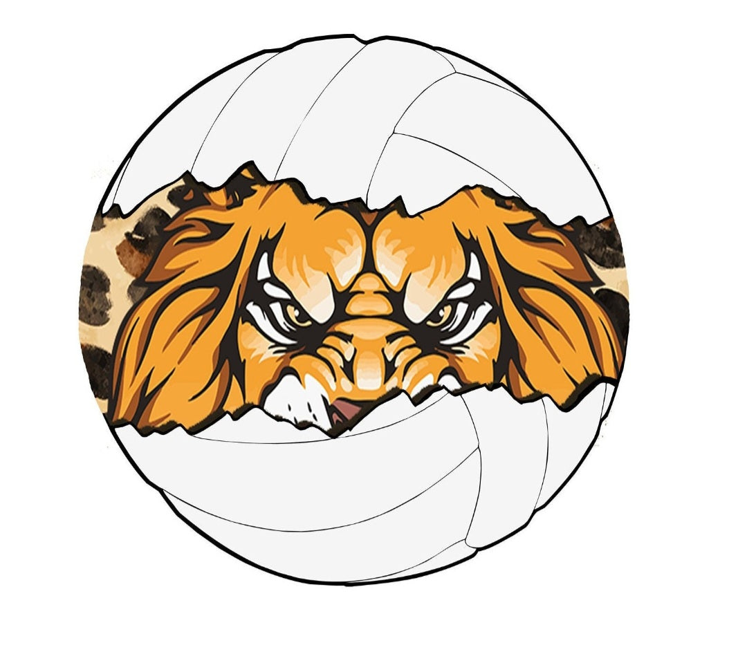 LIONS VOLLEYBALL COLLAGE PREORDER