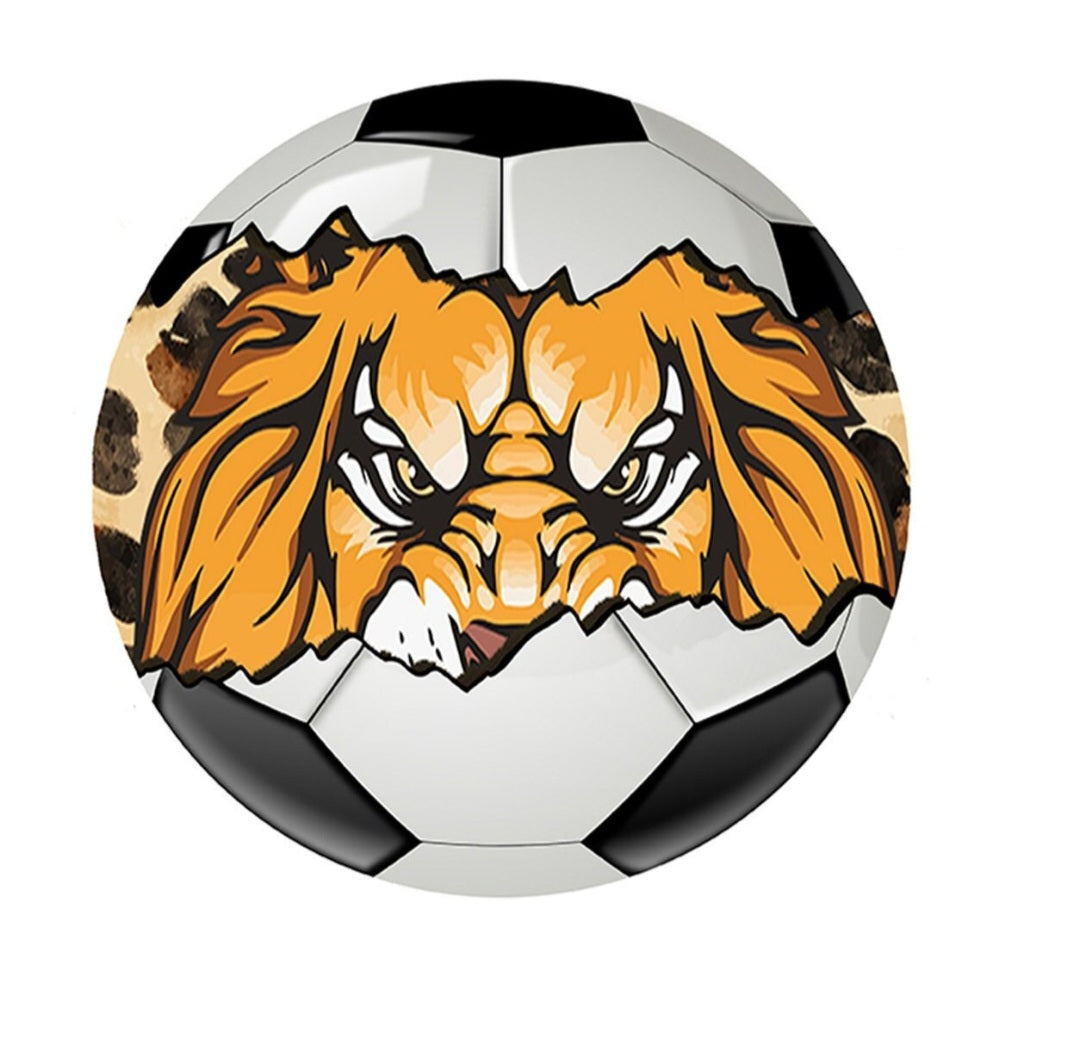 LIONS SOCCER COLLAGE