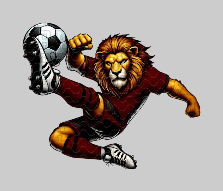 LIONS SOCCER COLLAGE
