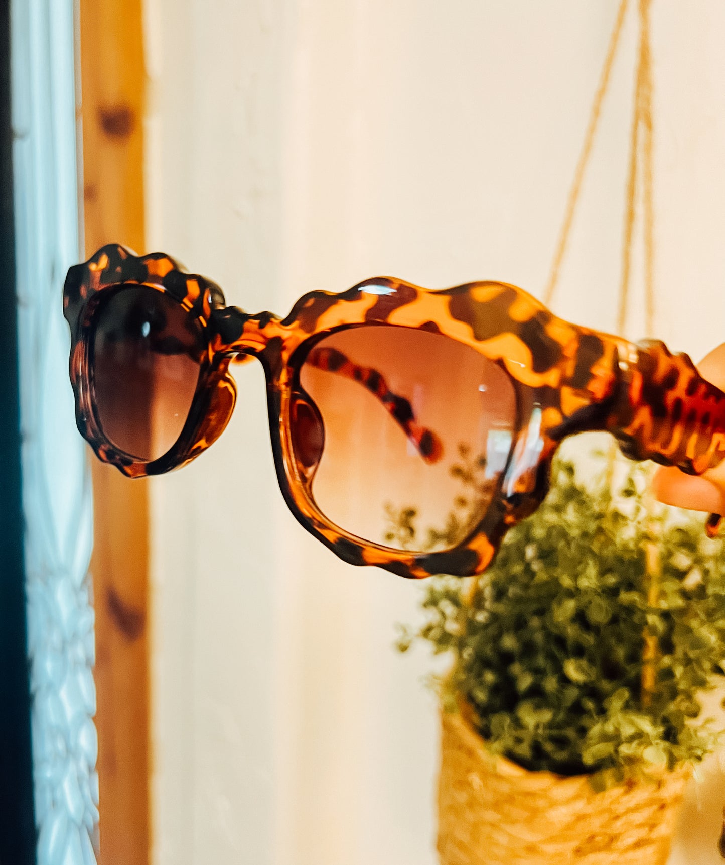 TORTOISE CLOUD SUNNIES