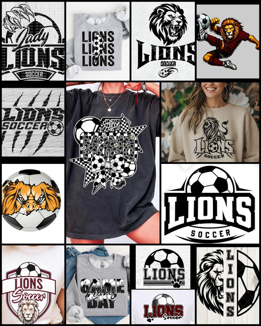 LIONS SOCCER COLLAGE