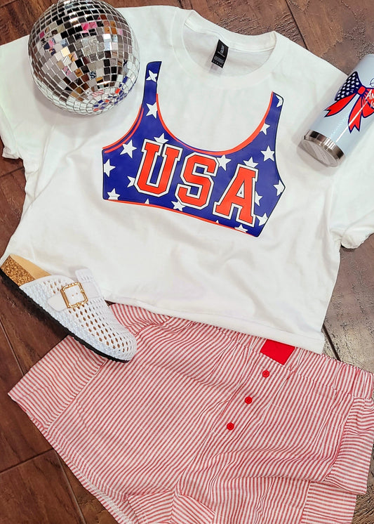 USA TANKINI CROP TOP